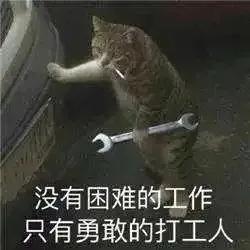 打工人必备表情包