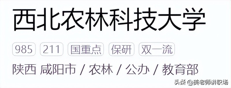 万字点评：全国31省市各排名前五共155所高校