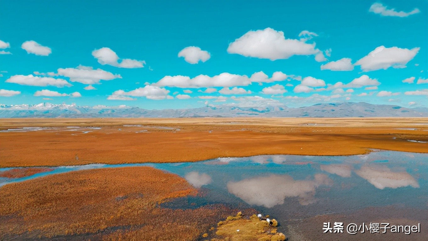 阿里南线｜西藏往西，奔赴滚烫山河