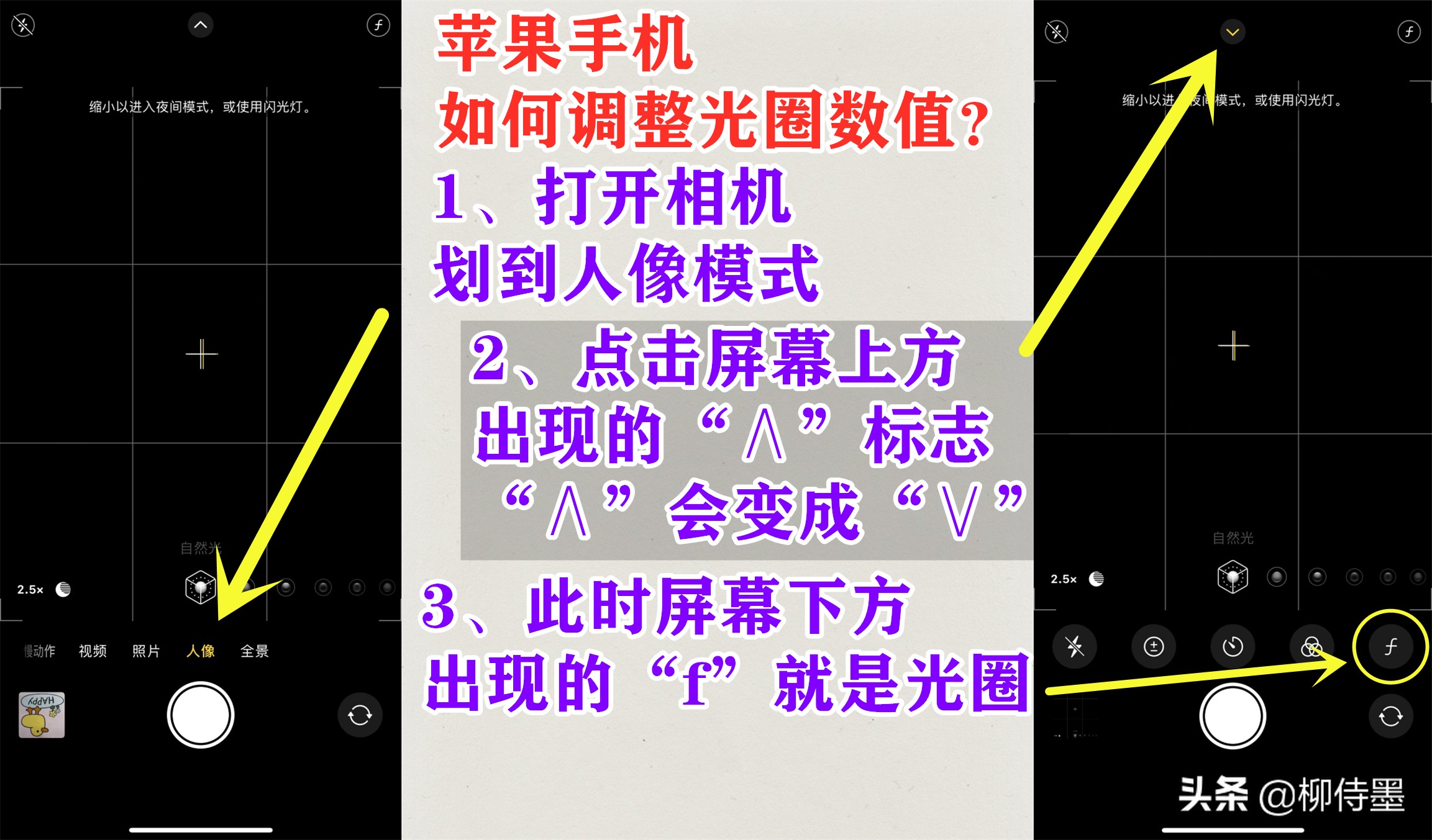 萱草照片如何拍出高級感？ 手機拍照簡單兩步，攝影大片輕鬆拍