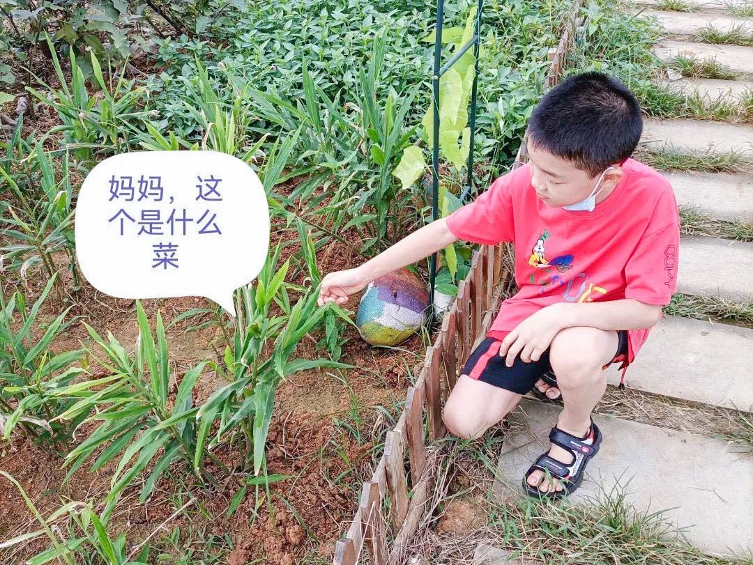 黄甲小学开展“人人参与科技节，我的科技节我做主”科技节活动