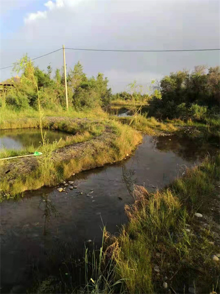 河南南召乔端村：乡村颜值靓起来