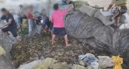 3·15变淡了，原因很复杂