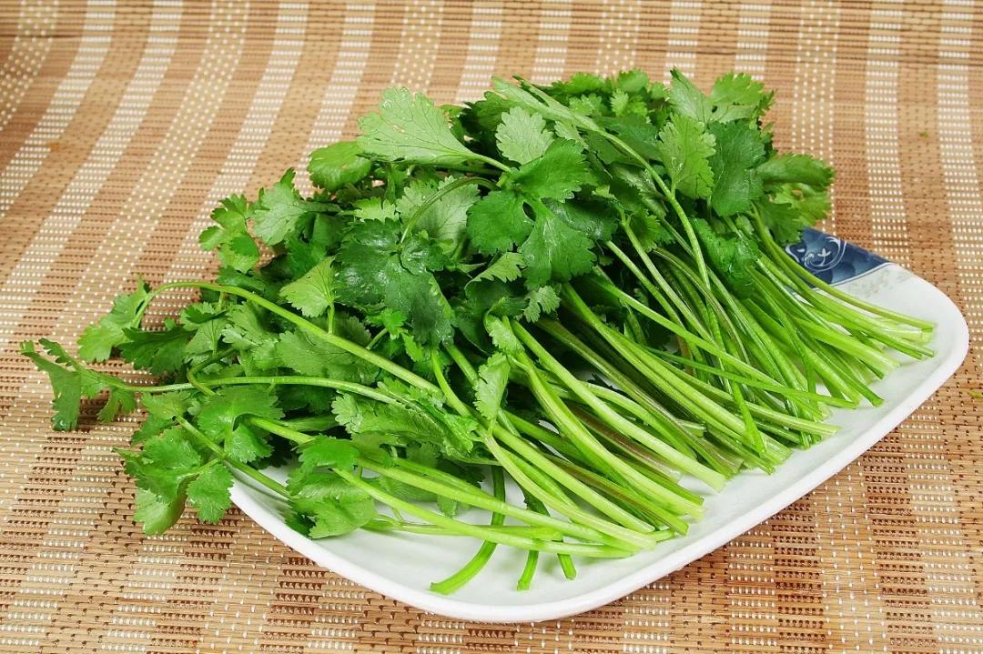 吃什么蔬菜可以补充体力(增强体力、抗疲劳,春天就要多吃这3种蔬菜!)