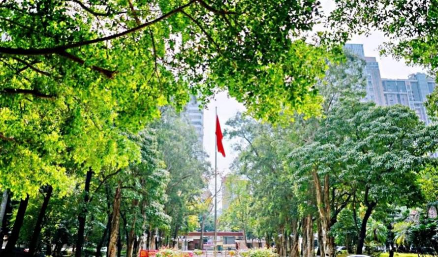 广东省高考分数线刚刚公布！附广工往年录取分数线、2022招生计划！