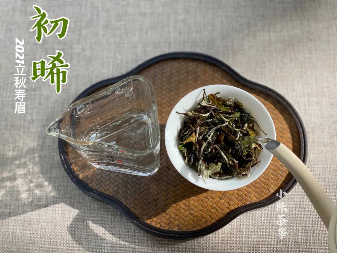 洗茶是浪费，还是衛生？老茶客搬出4个实例，好坏一次性说清
