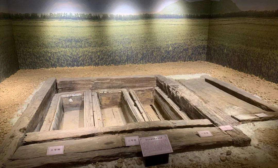 02年连云港修路挖出千年木棺,开棺后露出一条腿,专家:立刻盖棺