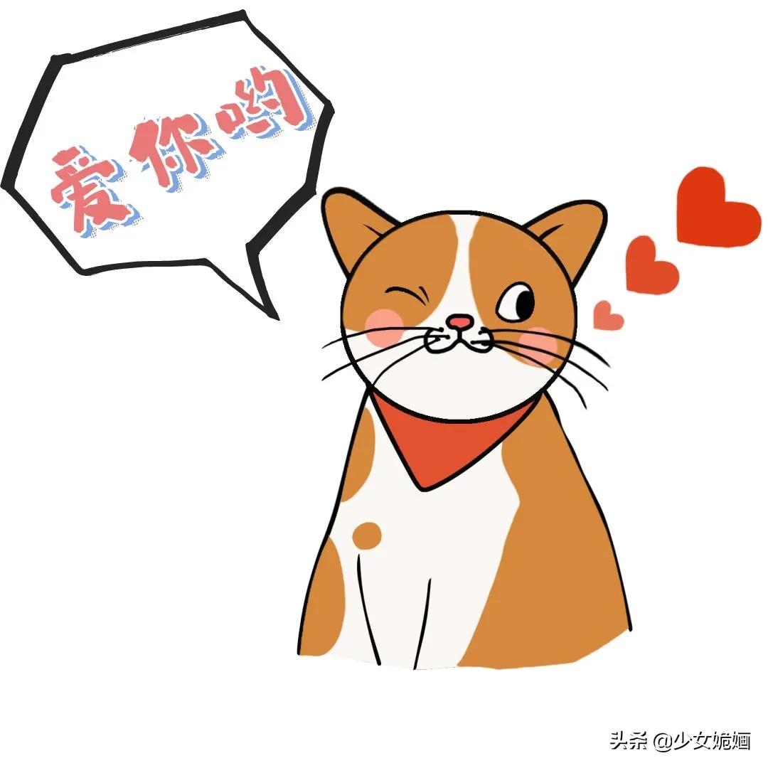 古言推荐！5本轻松励志甜爽文：皇帝与臣妻～将军怪我不疼他