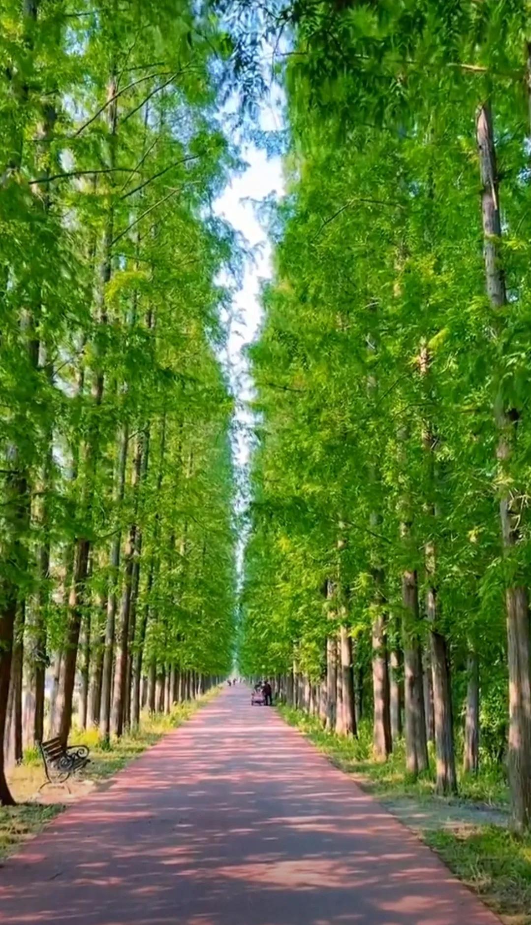 祖国大好河山 超美景色合集