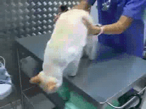 爸，你旁边的叔叔好帅，爸爸：这是你妈，网友当场笑喷了，哈哈哈