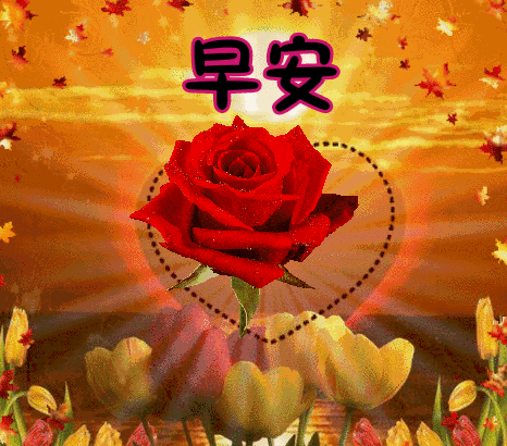 星期三清早祝福大家早上好的问候语美图 保持好心情、好运伴你行图片