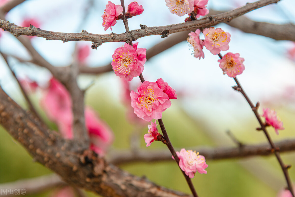 一日不见如隔三秋，思念如潮涌心头