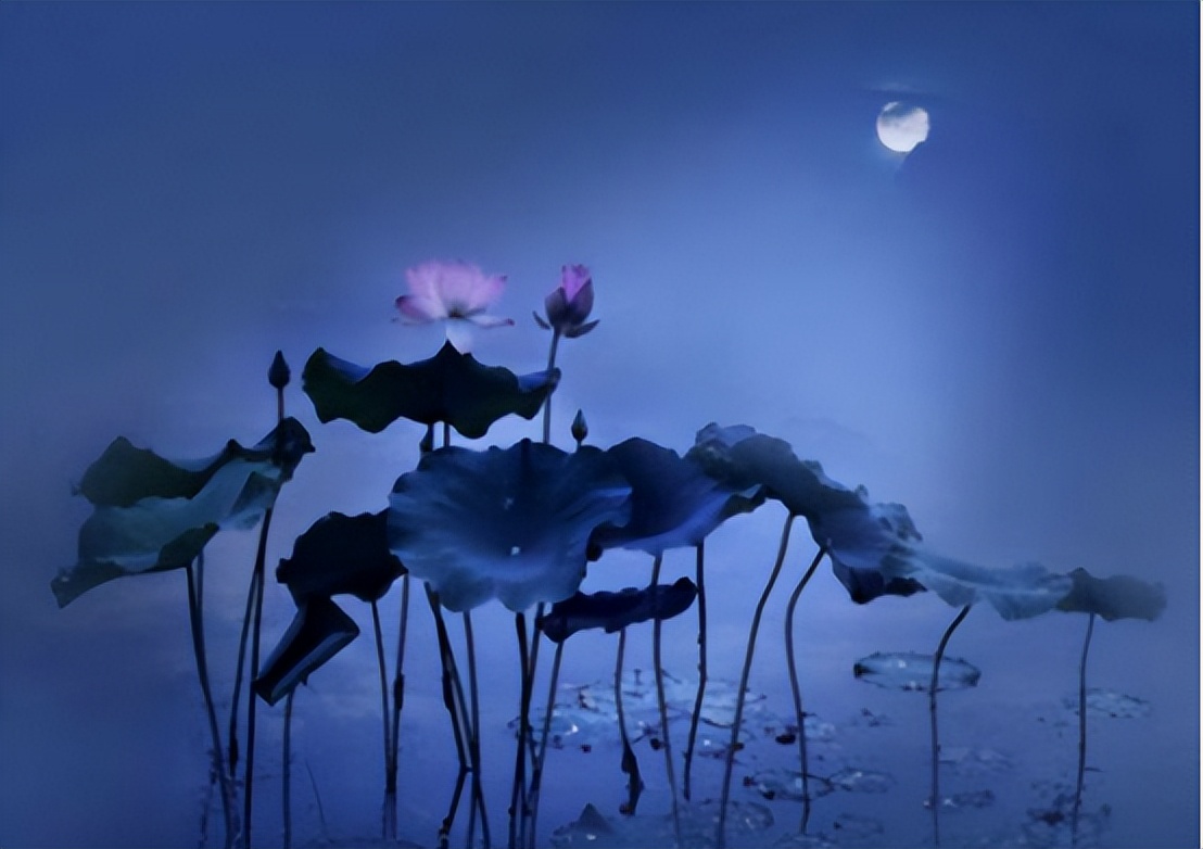 名家如何评《荷塘月色》?余光中:中学生水平,莫言:病态的唯美