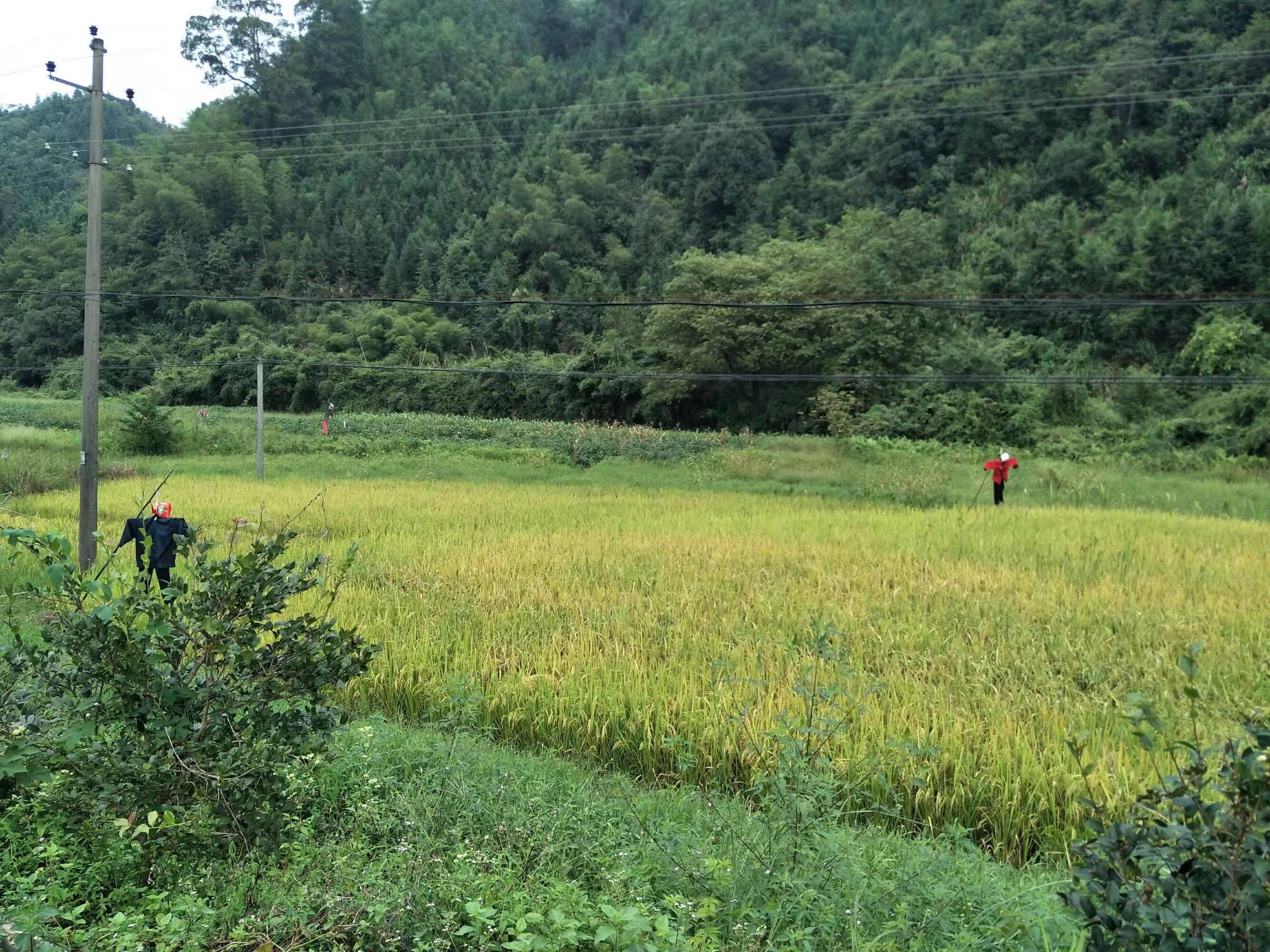 有一种旅行，叫骑行；有一种快乐，叫吃苦；有一种喜欢，叫热爱