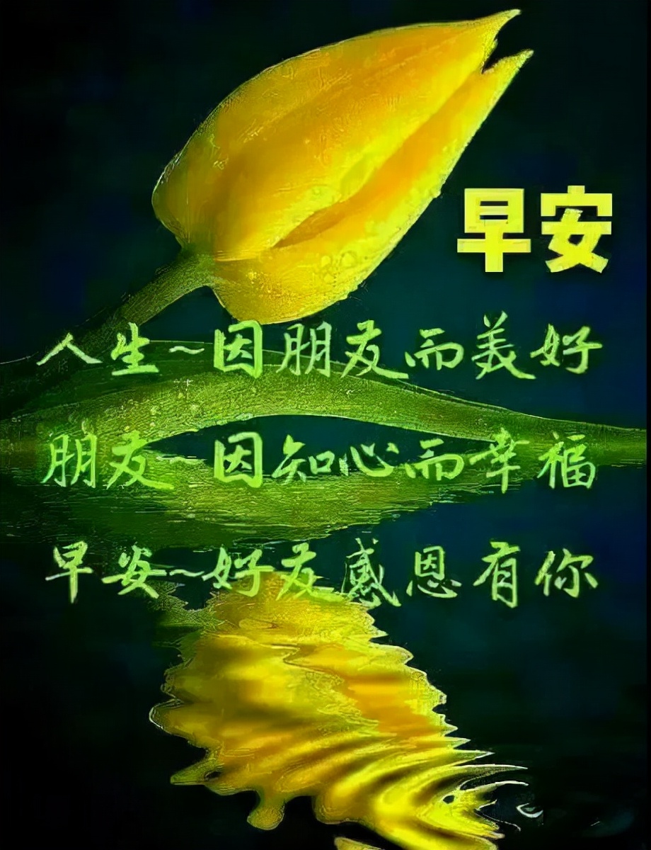 新周早上好,新的祝福送給你,願你每天都開心,新的一週快樂出發