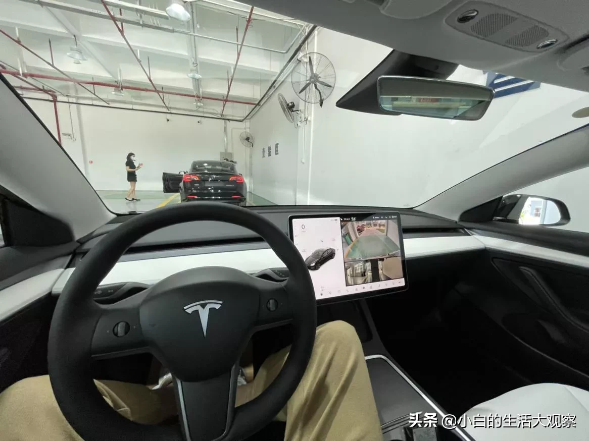 特斯拉提车图片(键盘侠不要再黑特斯拉了！表妹提车3个月)
