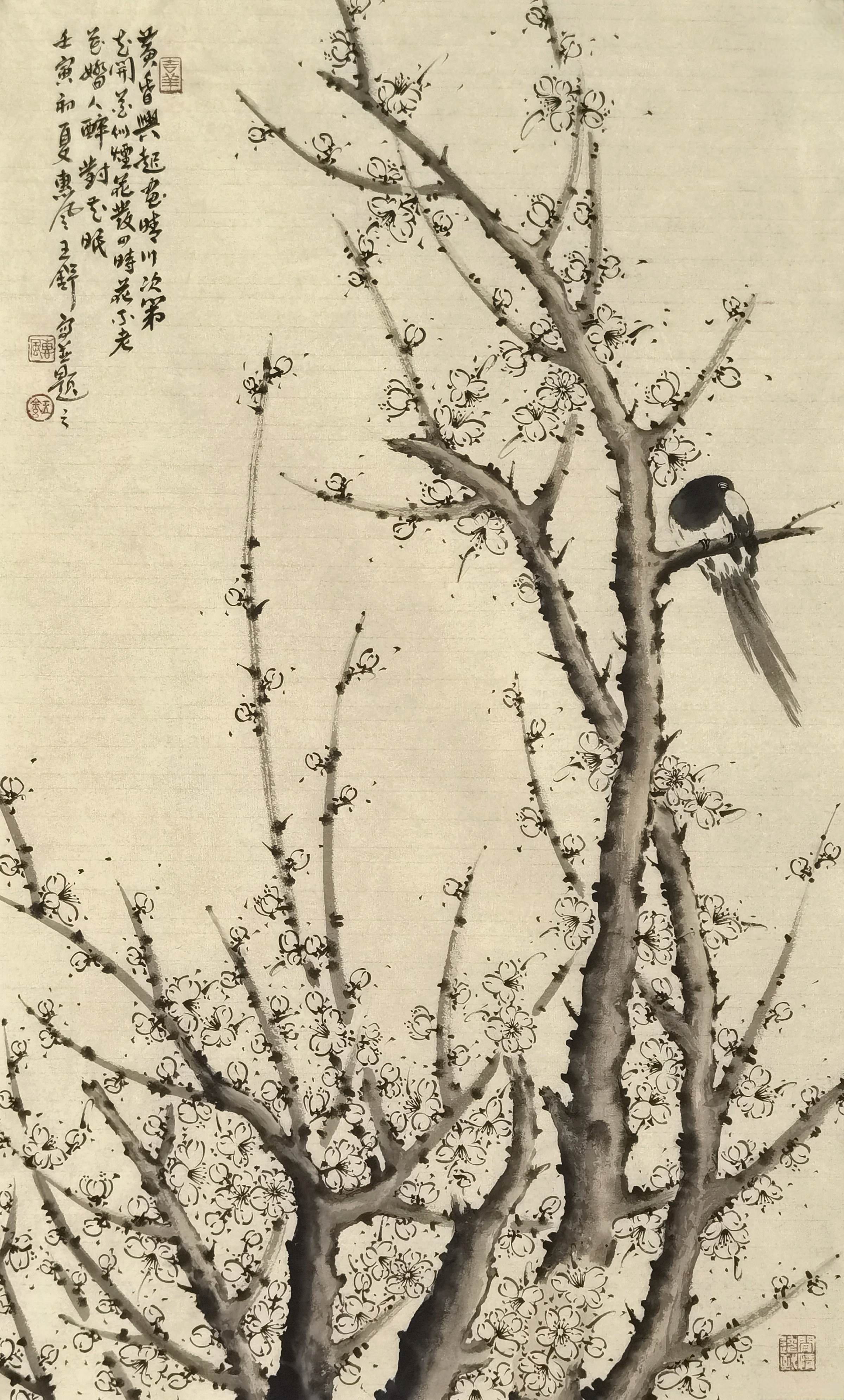 新锐画家王舒作品赏析