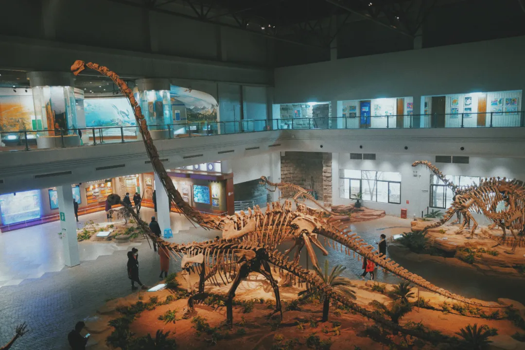 最近超火的盐帮菜之乡让我大开眼界，奇怪的知识又增加了