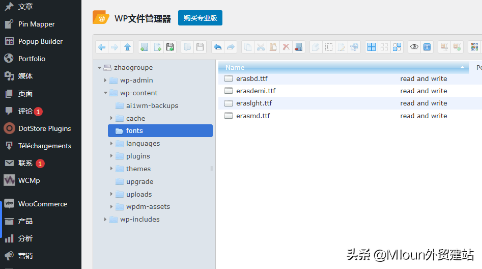 用CSS的方式给wordpress添加自定义字体