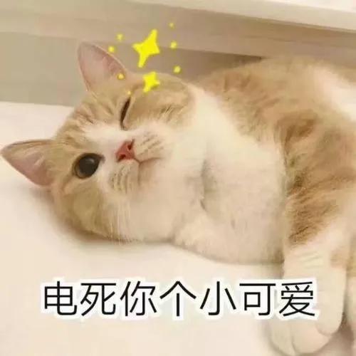 停电了？别慌，今晚咱家灯光虽灭，但笑点永不掉线！
