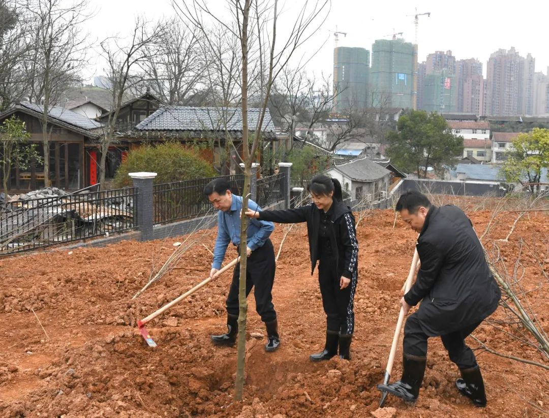 创国家森林城市 建怀化绿色家园 黎春秋王建球李万千印宇鹰等参加义务植树活动