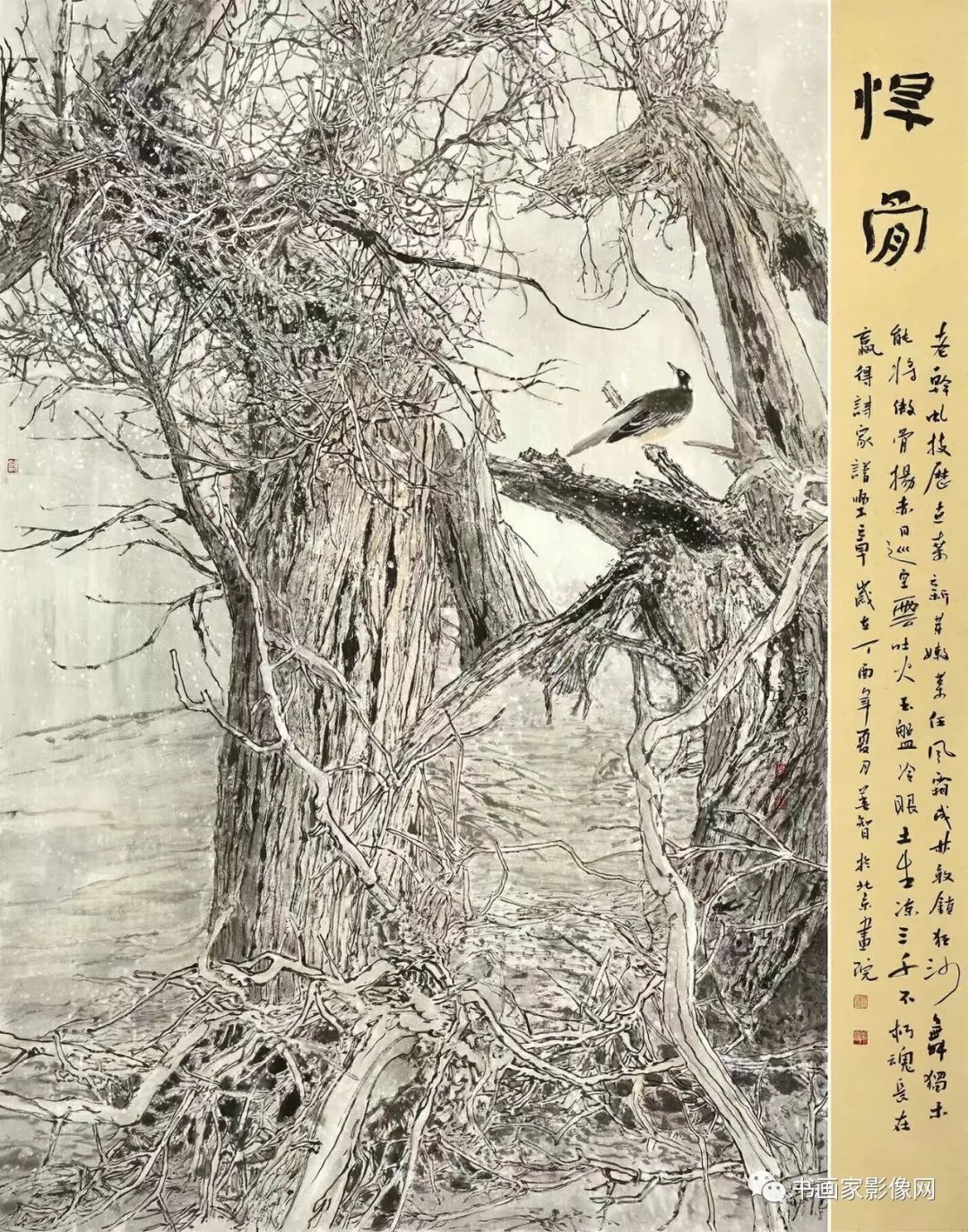 졪ҡǻƷ