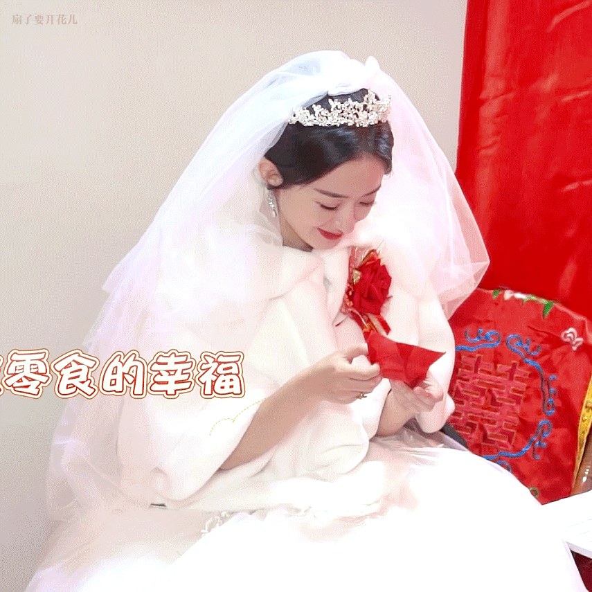 明星图片赵丽颖