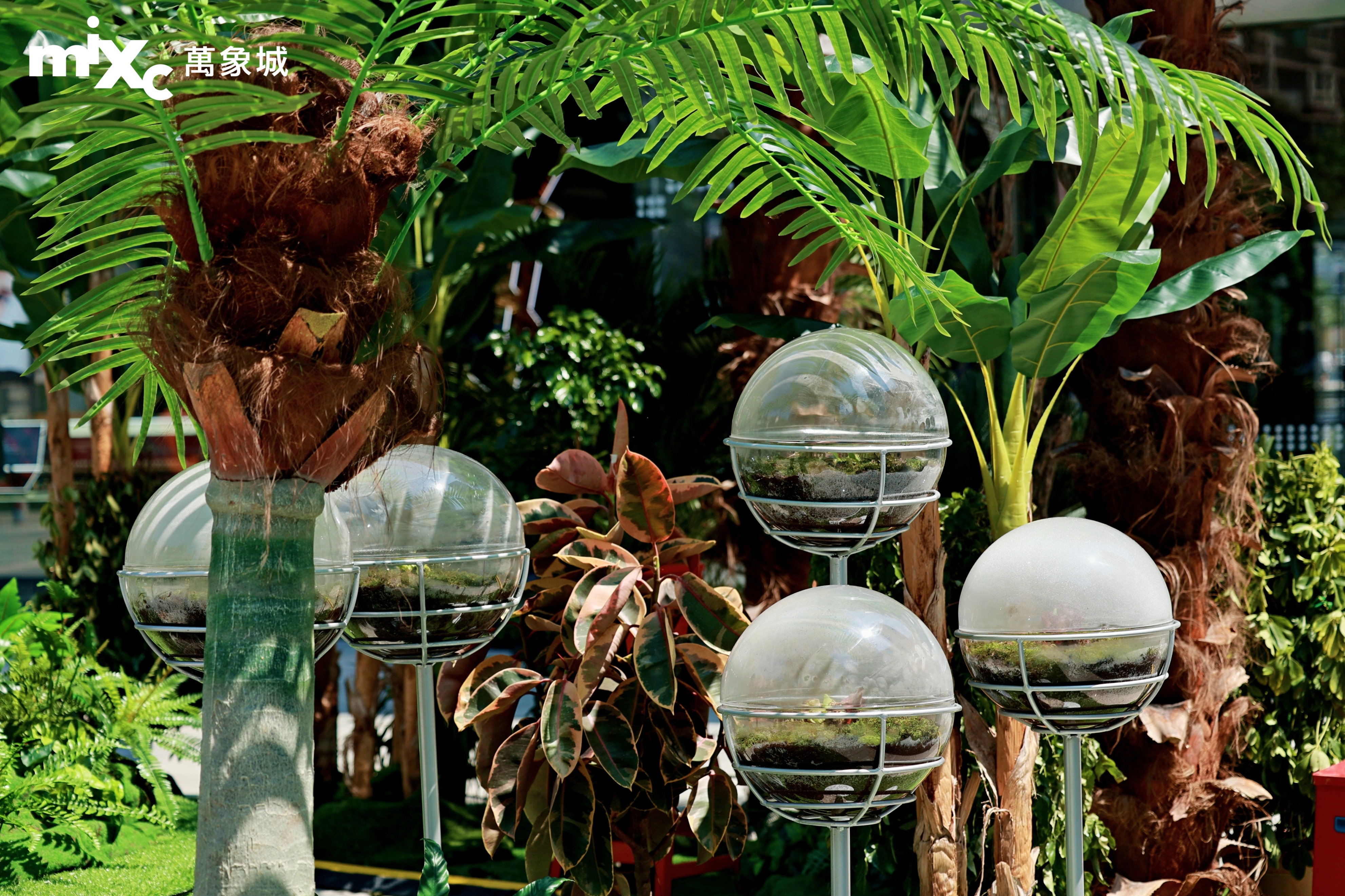 重庆万象城开启一场治愈的夏日雨林微度假之旅