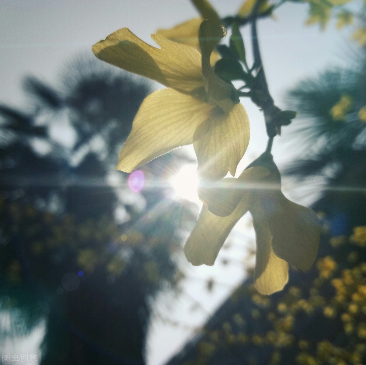 傅首尔的”人间清醒”语录