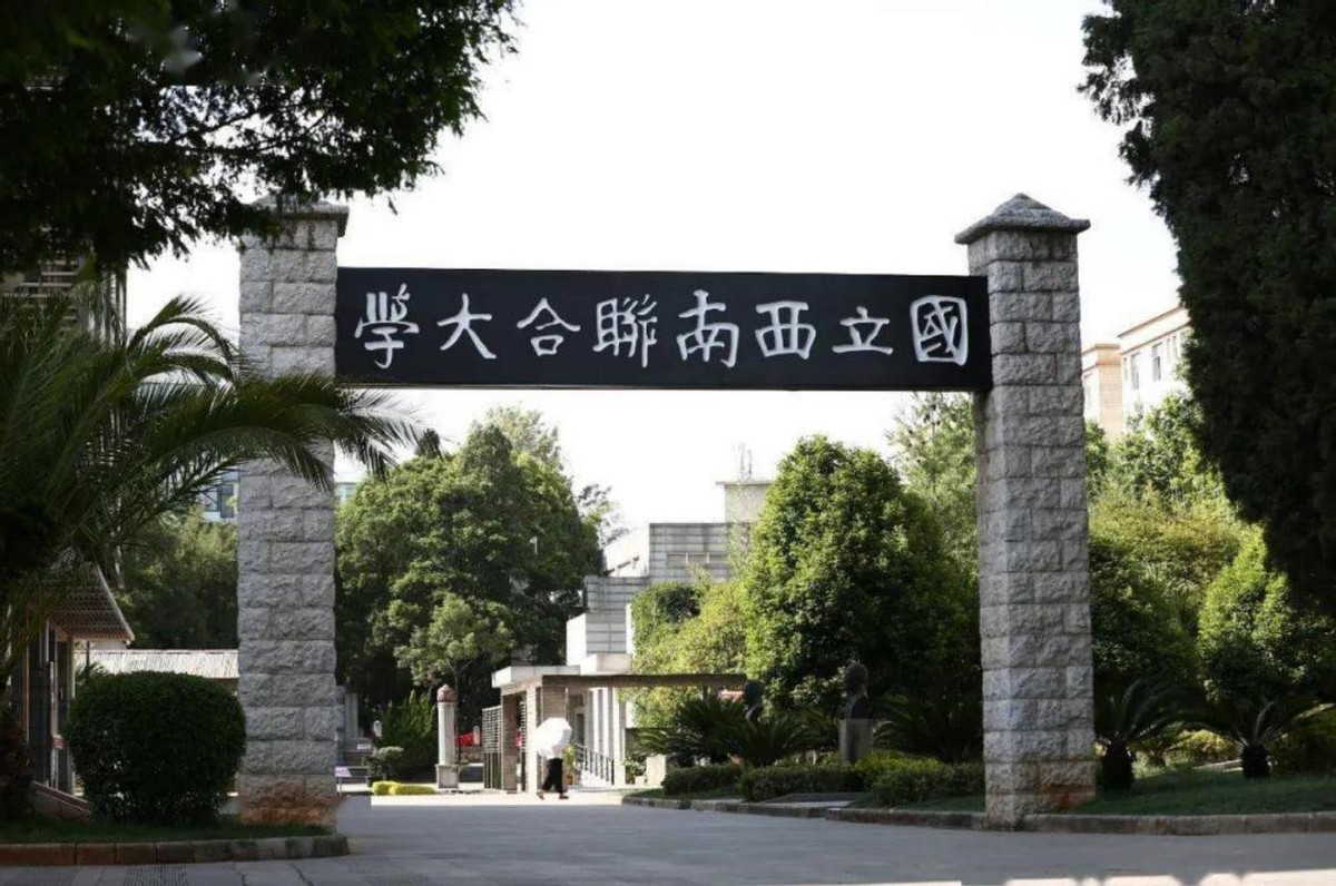 十万学生十万军，西南联大抗日记：不止有知识，更有热血豪情