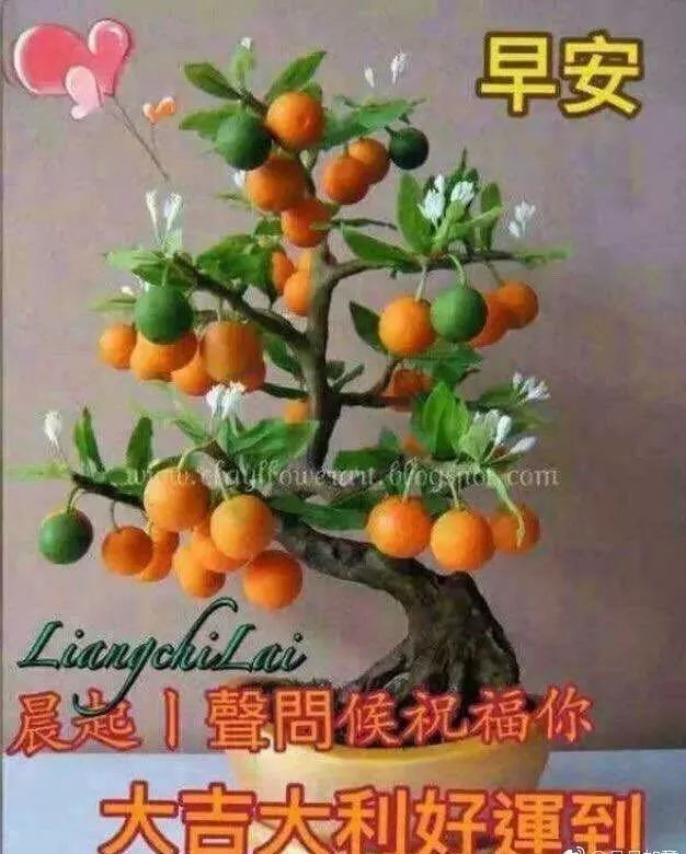 早上好表情包,千好万好,快乐平安最好，愿你欢欣喜悦，开心每一天图片