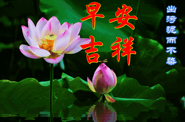 周三早上好朋友圈心情短句 祝你一帆风顺，一生幸福图片