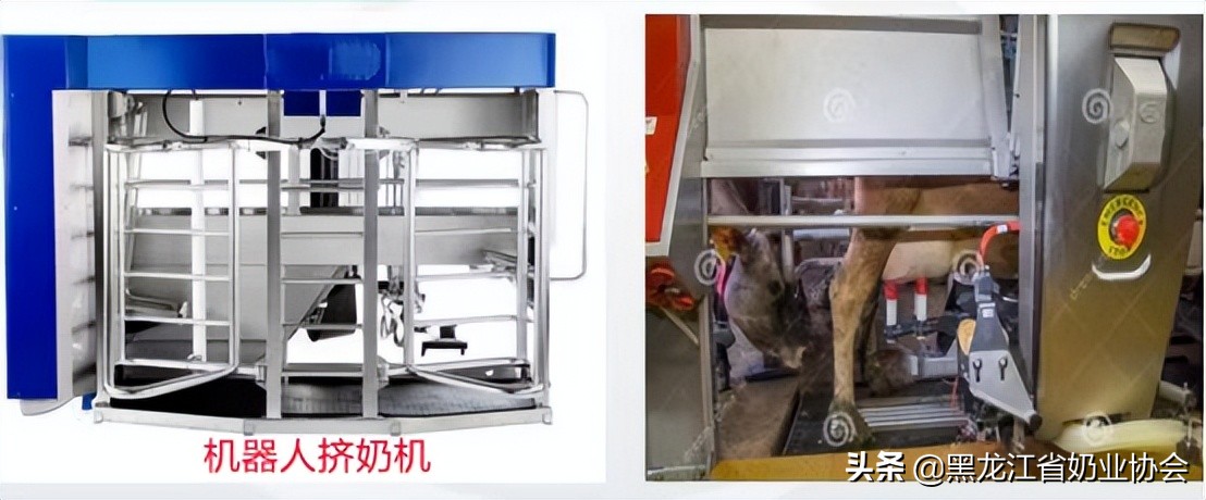 規(guī)?；膛?chǎng)常用擠奶機(jī)的分類(lèi)