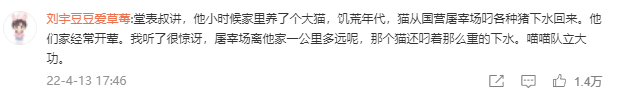 主人没饭吃，猫猫真的会抓鱼报恩吗？