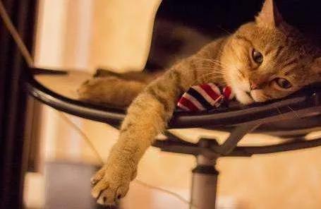 自媒体每天收益两三百左右，我是怎么做到的？