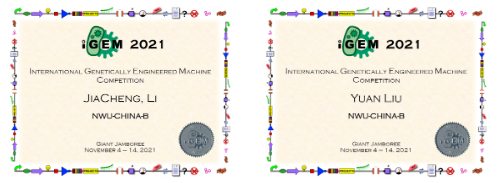 院系篇丨西北大学化工学院