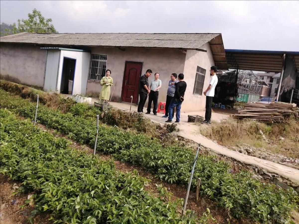 省林业局种苗站杨华斌一行赴黎平调研苗圃建设