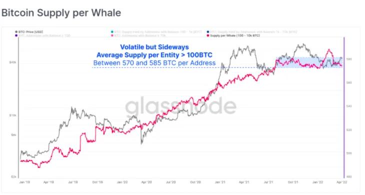 市场总结：美联储发表评论后，比特币和股票短暂下跌；狗狗拉力赛