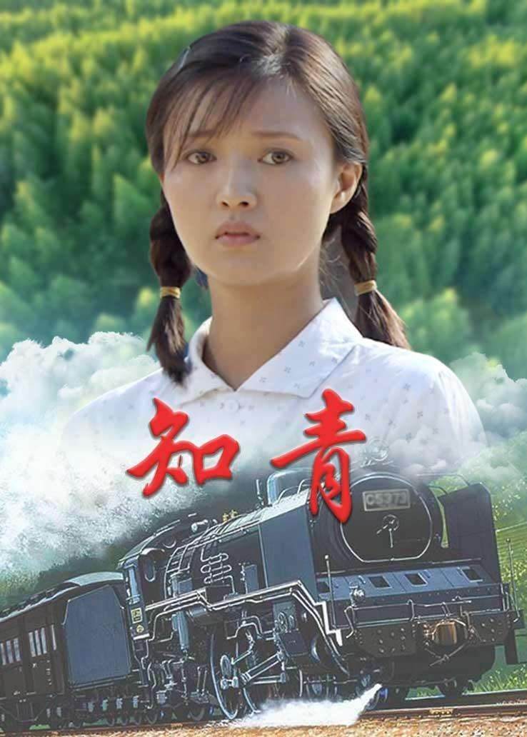 知青题材电视剧知青题材电视剧40部名片集锦