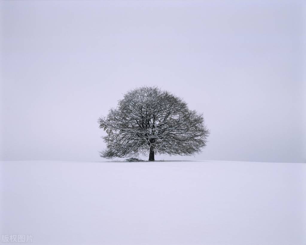 旧时代雪原 成为了遥远的风景 成为了历史 网络知识
