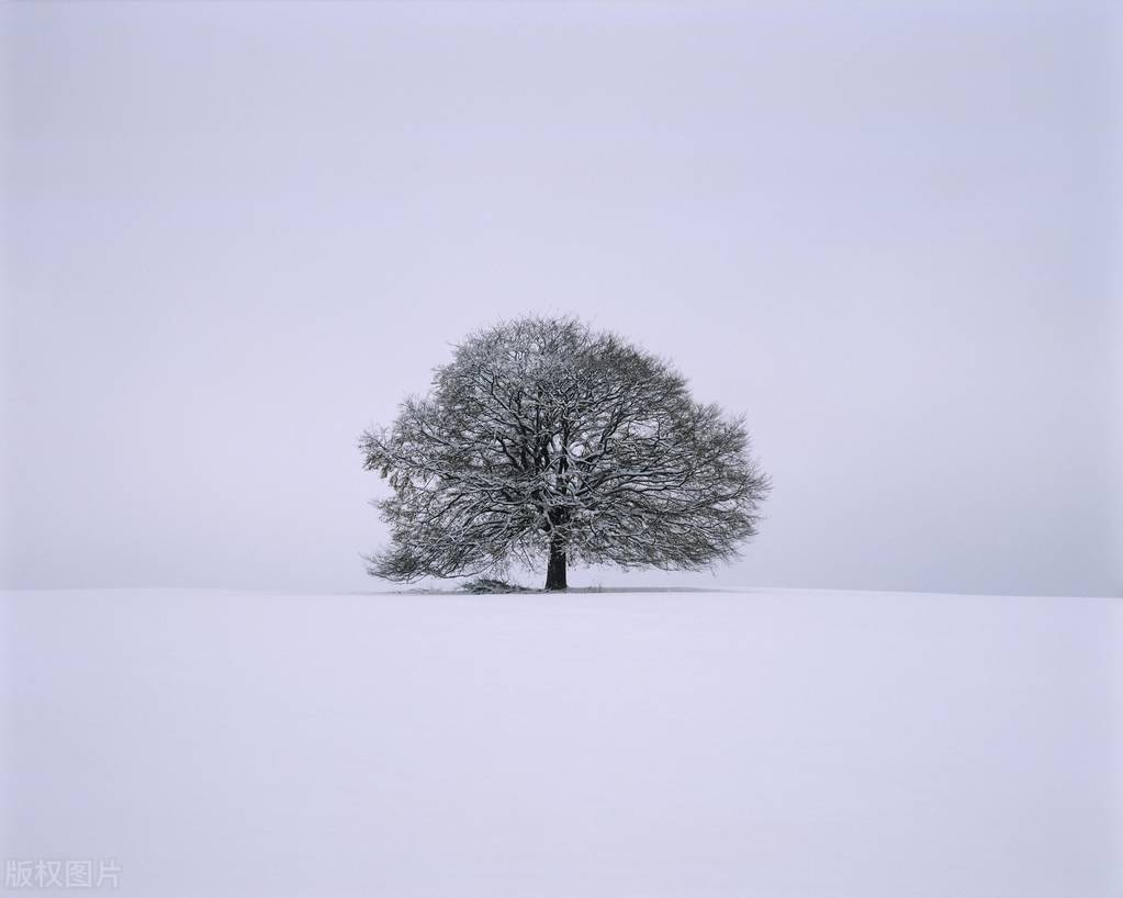 旧时代雪原，成为了遥远的风景，成为了历史