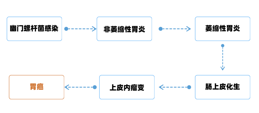 想要根治幽门螺杆菌？这7种用药方案，必须知道