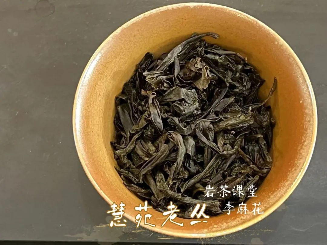 跟着李麻花学岩茶，轻松3步走，快速区分肉桂的火功高低，超简单