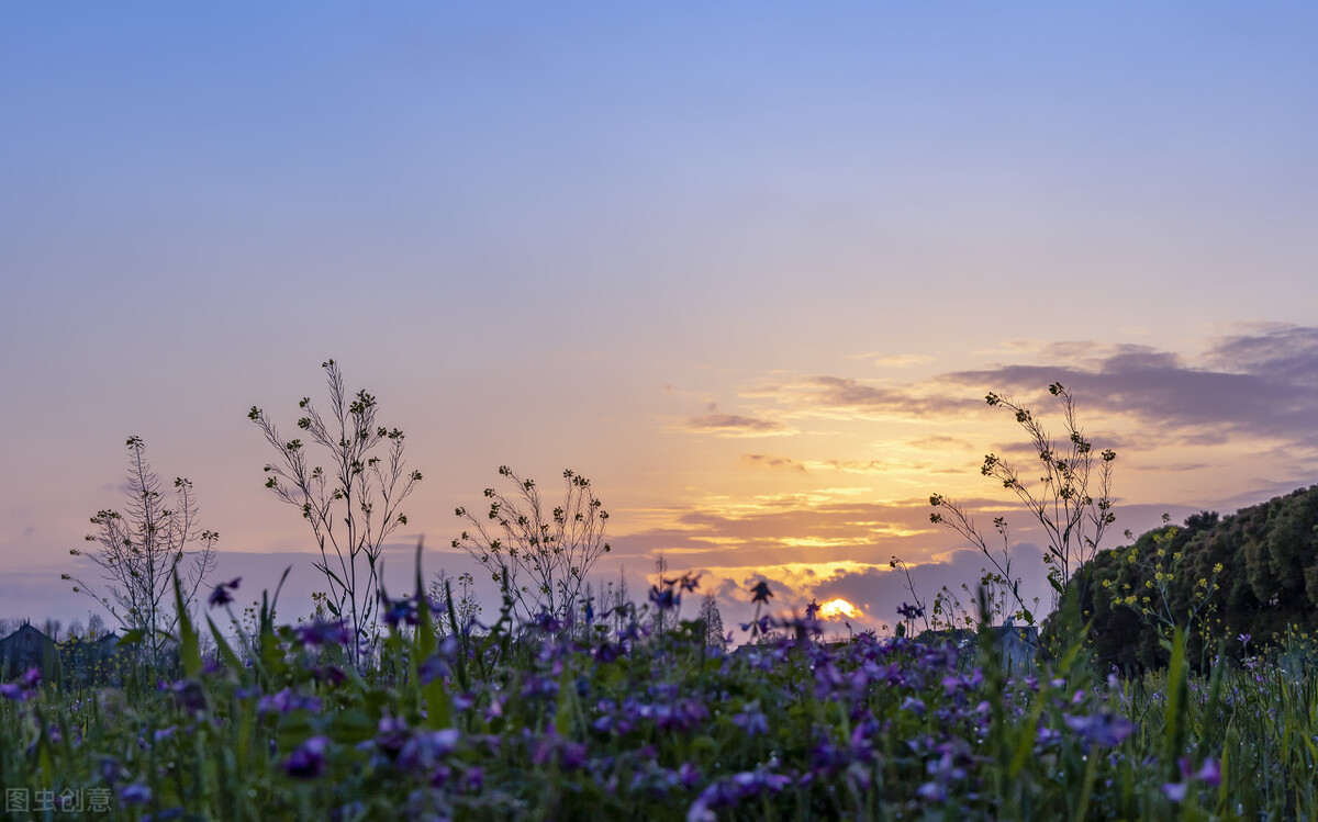 爱伴一程，念随一生，朝思暮想的你，是我深爱的永恒