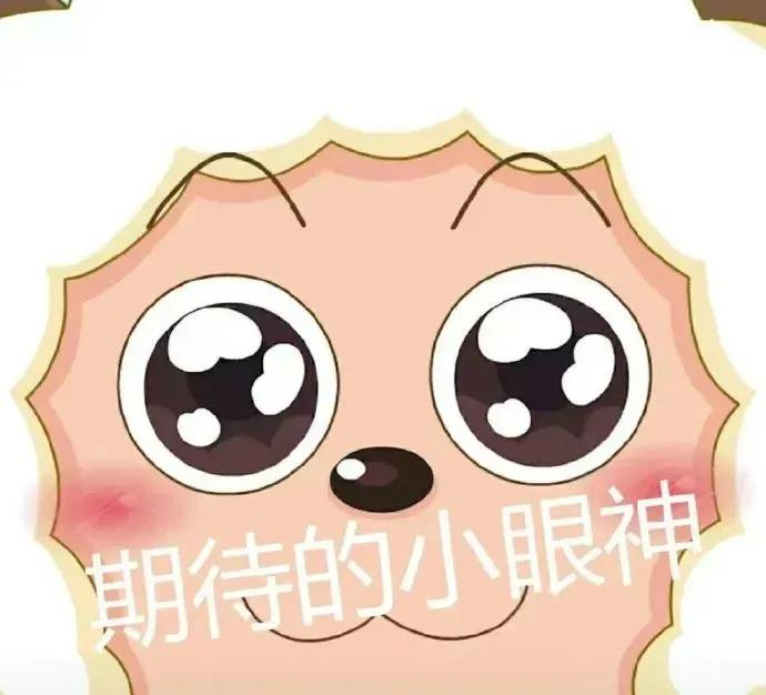 期待的小眼神