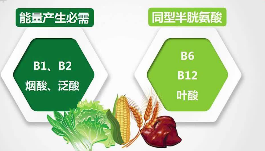 小小b族维生素,关系到人们5种健康问题,合理补充或能有助改善