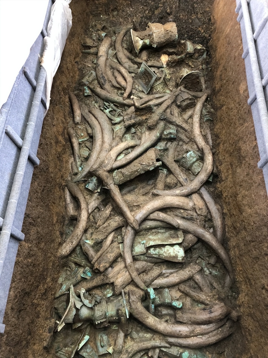 一部百年经典如何成书？上海大学：直脊梁盛内芯，以笔为剑竞风流