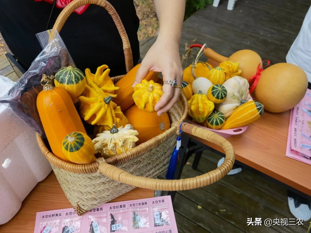 这个直播有点酷！沉浸式体验航天科技助力乡村振兴