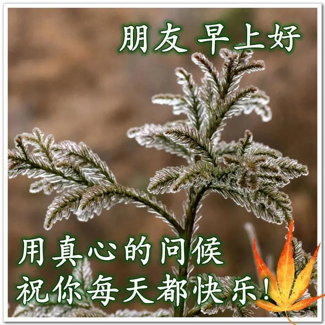 早晨安好：好朋友是路，越走越宽；好朋友是福，吉祥无边，早上好