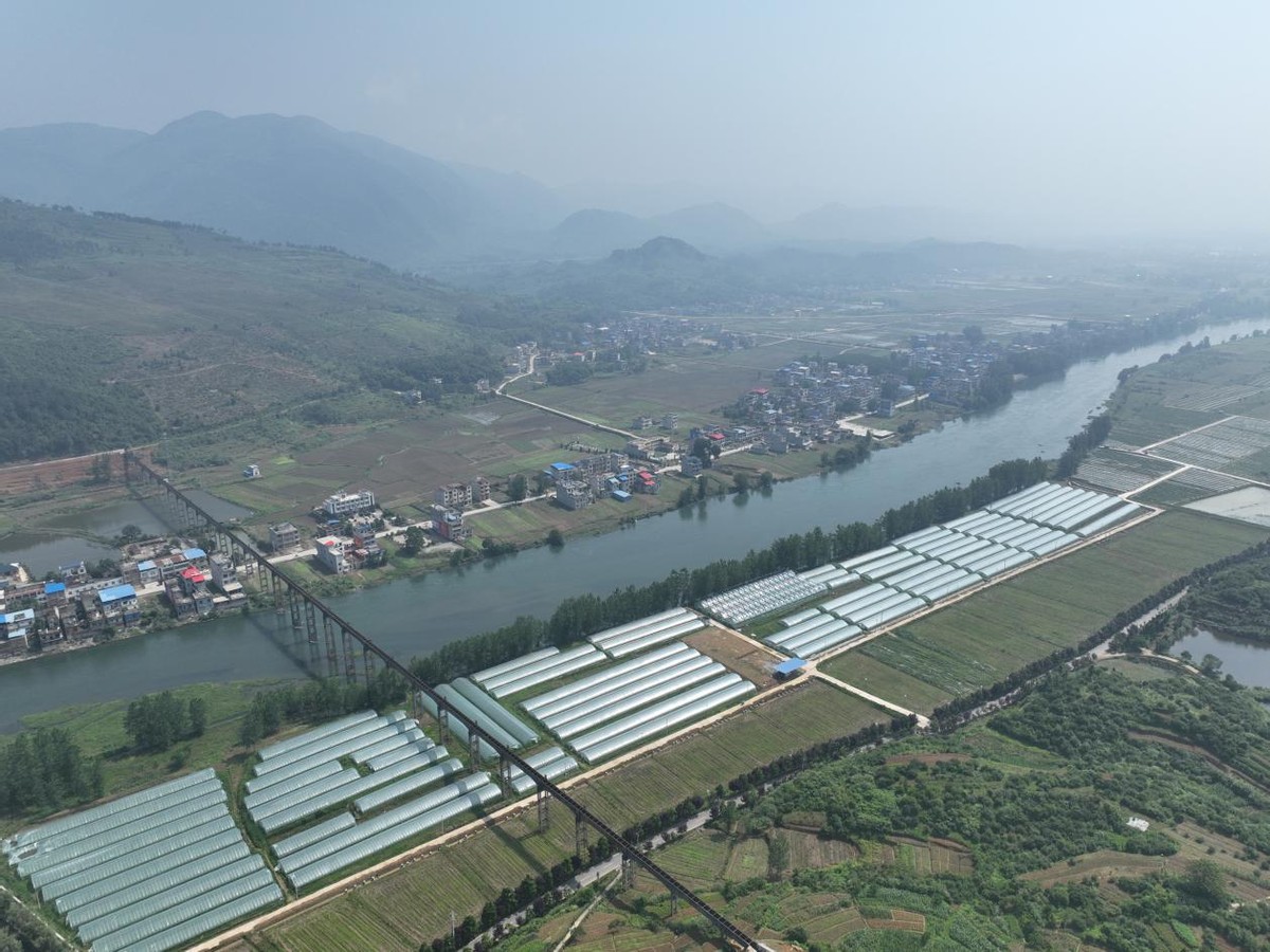 帶就業(yè)旺旅游助致富，陽(yáng)新這個(gè)村干出了“田園綜合體”樣板